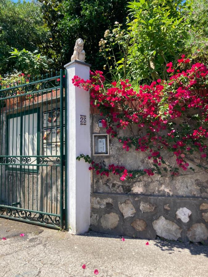 דירות ויקו אקוונסה La Terrazza מראה חיצוני תמונה