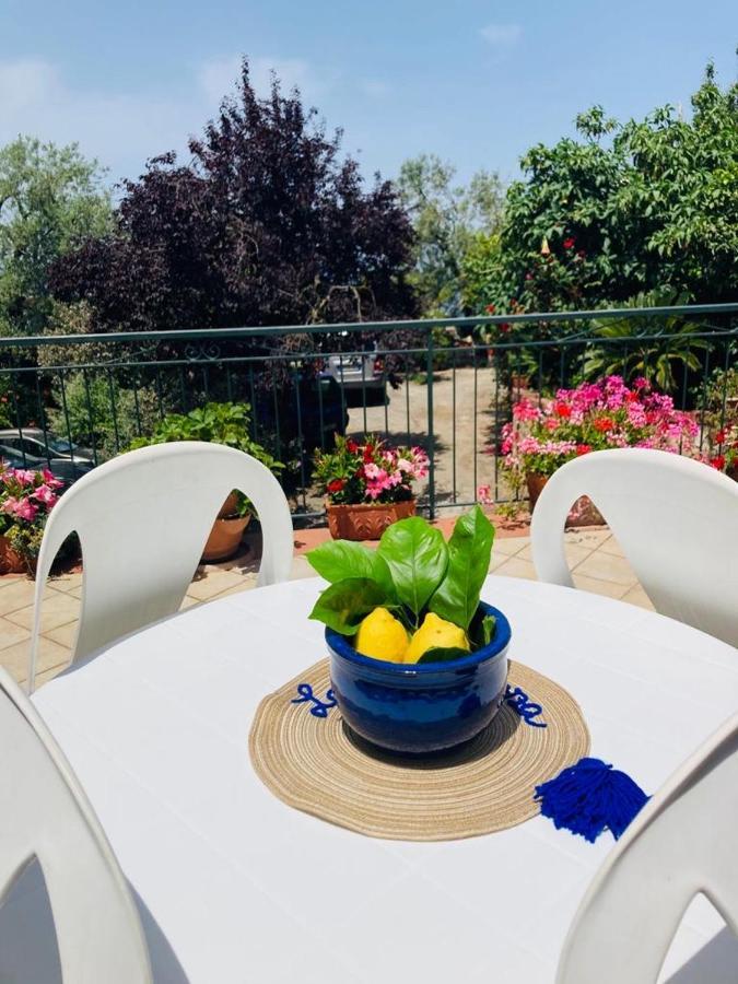 דירות ויקו אקוונסה La Terrazza מראה חיצוני תמונה